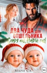 обложка книги Мари Са "Два чуда для Отшельника! Семья под Новый год!"