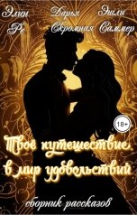 обложка книги Дарья Скромная, Элин Ре, Эшли Саммер "Твоё путешествие в мир удовольствий"