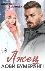 обложка книги Дарина Королёва, Диана Абрамова "Лжец. Лови бумеранг!"