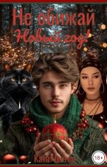 обложка книги Катя Честер "Не обижай Новый год!"