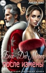 обложка книги Аида Янг "Босс - Дед Мороз: после измены"