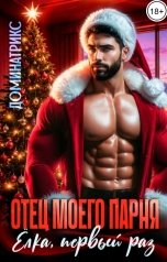 обложка книги ДОМИНАТРИКС "Отец моего парня, ёлка, первый раз"