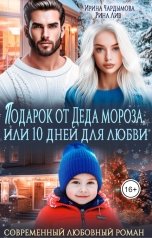 обложка книги Ирина Чардымова, Рина Лив "Подарок от Деда Мороза или 10 дней для любви"