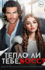 обложка книги Дарья Сенченко, Елена Зандерболт "Тепло ли тебе, босс?"