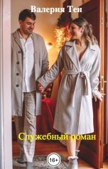 обложка книги Валерия Тен "Служебный роман"