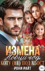 обложка книги Рони Райт "Измена. Новый год коту (не) под хвост."