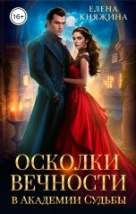 обложка книги Елена Княжина "Осколки вечности в Академии Судьбы"