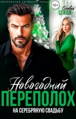 обложка книги Оливия Стилл "Новогодний переполох на серебряную свадьбу"