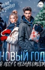 обложка книги Татьяна Планетанова "Новый год в лесу с незнакомцем"
