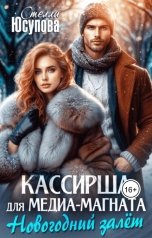 обложка книги Стелла Юсупова "Кассирша для Медиа-магната. Новогодний залёт"