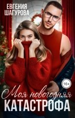 обложка книги Евгения Шагурова "Моя новогодняя катастрофа"