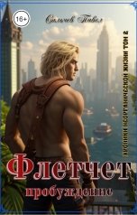 обложка книги Сильчев Павел "Флетчет пробуждение"