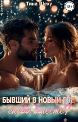 обложка книги Тина Шеху "Бывший в Новый год. Снова вместе?"