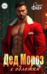 обложка книги София Флёр "Дед Мороз с обложки"