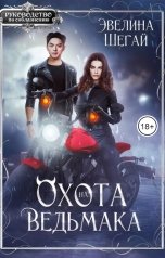 обложка книги Эвелина Шегай "Охота на ведьмака"