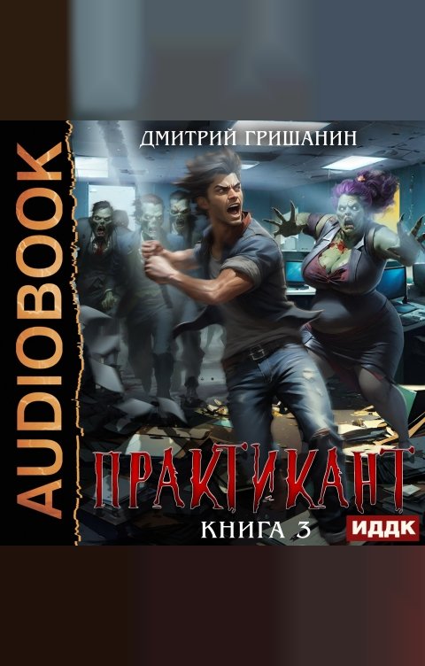 Обложка книги ИДДК Практикант. Книга 3