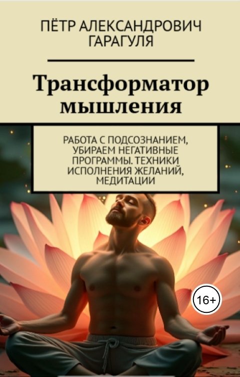 Обложка книги Петр Гарагуля Трансформатор Мышления