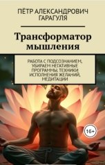 обложка книги Петр Гарагуля "Трансформатор Мышления"