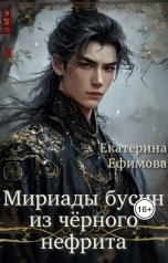 обложка книги Екатерина Ефимова "Мириады бусин из чёрного нефрита"
