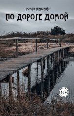 обложка книги Левицкий Роман Вадимович "По дороге домой"