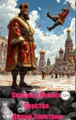 обложка книги Дикий Электрик "Сказка о Некоем Царстве."