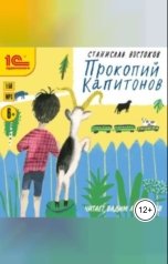 обложка книги Станислав Востоков "Прокопий Капитонов"