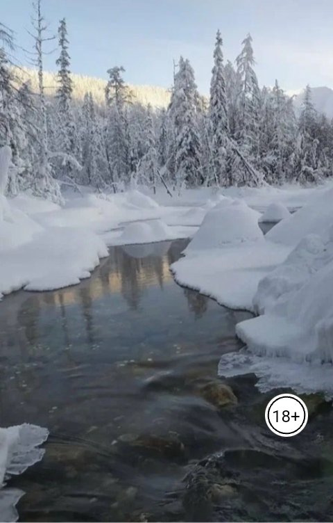 Обложка книги Диана Че Партийное замужество