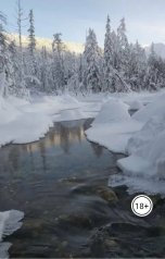 обложка книги Диана Че "Партийное замужество"