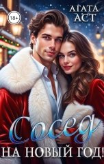 обложка книги Агата Аст "Сосед на новый год!"