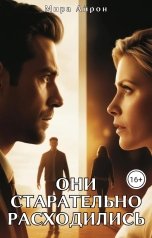 обложка книги Мира Айрон "Они старательно расходились"