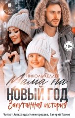 обложка книги Николь Келлер "Мама на Новый год. Запутанная история"