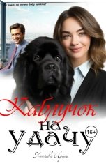 обложка книги Ирина Пиняева "Каблучок на удачу"