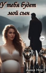 обложка книги Анна Норт "У тебя будет мой сын"