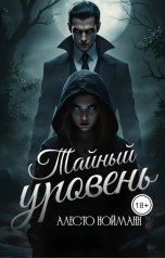 обложка книги Алесто Нойманн "Тайный уровень"