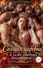 обложка книги Котэ Развратт "Спящая царевна и семь сводных богатырей"