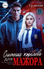 обложка книги Яна Гронская "Снежная королева для мажора"