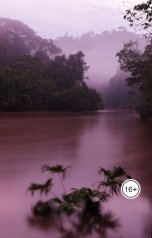 обложка книги Диана Рейн "Легенда о реке Тиокаи"