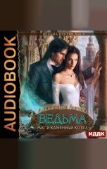 обложка книги Лисина Александра "Ведьма против мага. Книга 2. Ведьма, маг и каменный котел"