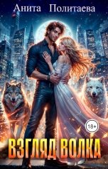 обложка книги Анита Политаева "Взгляд волка"