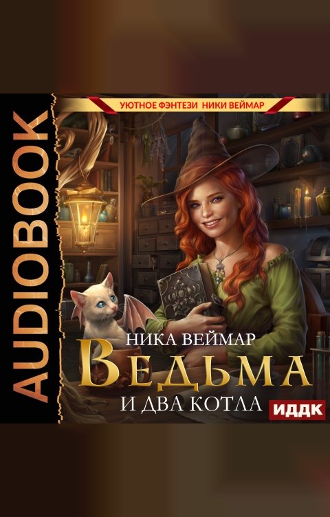 Обложка книги ИДДК Ведьма и два котла