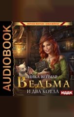 обложка книги Веймар Ника "Ведьма и два котла"