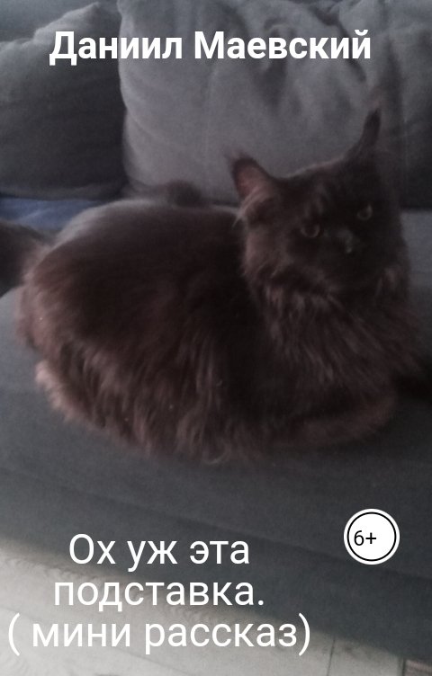 Обложка книги Даниил Маевский Ох уж эта подставка.                  ( мини рассказ)