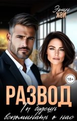 обложка книги Эрин Хэй "Развод. Ты будешь вспоминать о нас"