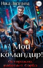 обложка книги Ника Лисицына "Мой командир!"