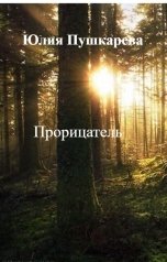 обложка книги Юлия Пушкарева "Прорицатель"
