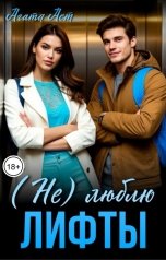 обложка книги Агата Аст "(Не) люблю лифты"