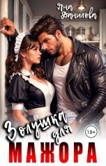 обложка книги Яна Данилова "Золушка для мажора"