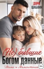 обложка книги Дора Шабанн "(НЕ)Бывшие. Богом данные"
