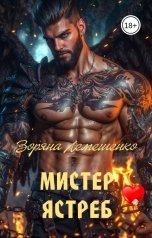 обложка книги Зоряна Лемешенко "Мистер ястреб"