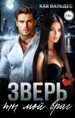 обложка книги Кая Вальдес "Зверь. Ты мой враг"